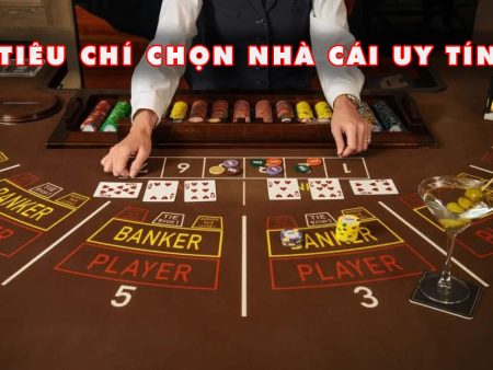 DK8 Bet Com Nhà Cái Cá Cược Online Uy Tín Hàng Đầu