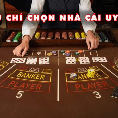 DK8 Bet Com Nhà Cái Cá Cược Online Uy Tín Hàng Đầu
